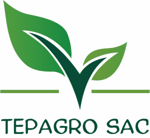 imagen12-22-300x276